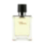 HERMES TERRE D'HERMES (M) EDT 50ML