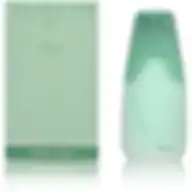 Ted Lapidus Creation The Vert (M) Edt 100Ml