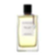 Coach Platinum After Shave Balm 100 ml