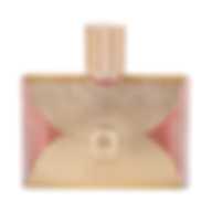 AIGNER ICON (W) EDP 100ML