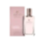 Aigner Debut (w) Edp 100ml