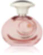 TOMMY BAHAMA (W) EDP 100ML