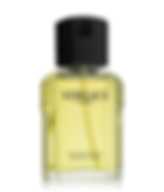 VERSACE L'HOMME (M) TESTER EDT 100 ml IT