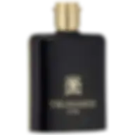 Trussardi Uomo 2011 EDT M 100 ml