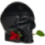 Christian Audigier Ed Hardy Skulls & Roses Edt 100Ml