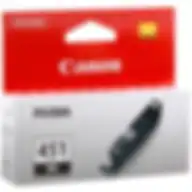 Canon Cli-451bk Ink Cartridge Black