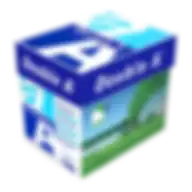 Double A Photocopy A4 Size 80gsm Paper 5 Ream White