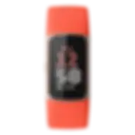 Fitbit Charge 6 Advanced Fitness Tracker Band Size S&l Coral Ga05184