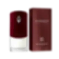 Givenchy Pour Homme Edt 100ml