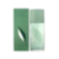 ELIZABETH ARDEN GREEN TEA EAU PERFUME 100ML