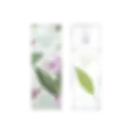 ELIZABETH ARDEN GREEN TEA EXOTIC (W) EDT 100ML