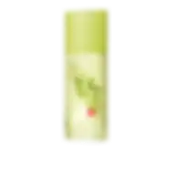 ELIZABETH ARDEN GREEN TEA BAMBOO EDT 100ML