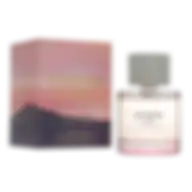 GUESS 1981 LOS ANGELES (W) EDT 100ML