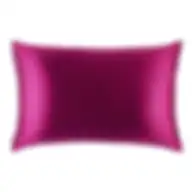 Slip Queen Pillowcase Ultraviolet