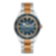 Rado Captain Cook Automatic Men's Watch R32137203