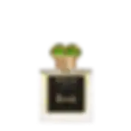 Roja Parfums Harrods Exclusive Aoud Unisex Parfum 100 Ml