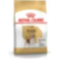 Royal Canin Bhn Beagle Adult 3 Kg Breed Health Nutrition Dog Dry Food