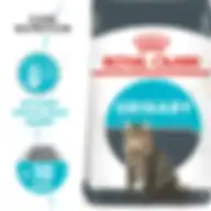Royal Canin Feline Care Nutrition Urinary Care 2 Kg