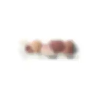 Sheglam 6-sponge Party Pack