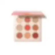 Sheglam Rose Code Palette
