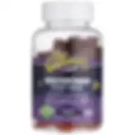 The Gummies Co. Adults Multivitamin Supplement Gummies With Iron Grape Flavour, Pack Of 100's