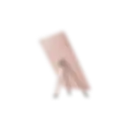 Twelve South Compass 2 Rose Gold Universal Ipad Stand, TS-12-1618