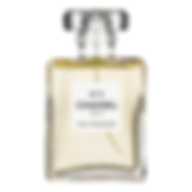CHANEL NO.5 EAU PREMIERE EDP (W) 50ML