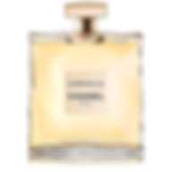CHANEL GABRIELLE (W) EDP 35 ml FR