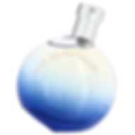 HERMES L'OMBRE DES MERVEILLES (W) EDP 50ML