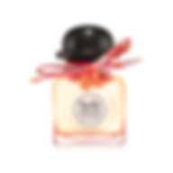 HERMES TWILLY D'HERMES EAU POIVREE LTD EDI 2020 EDP 85ML