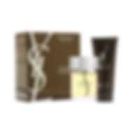 YVES SAINT LAURENT L'HOMME (M) SET EDT 100 ml + ALL OVER SHOWER GEL 100 ml (TRAVEL SELECTION) FR