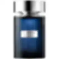 ROCHAS L'HOMME ROCHAS (M) EDT 100 ml FR