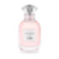Mont Blanc Parfums Red Water Bottle