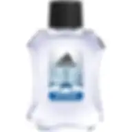 Adidas Uefa Champions League Arena Edition Eau De Toilette For Men 100 Ml