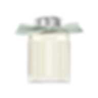 CHLOE (W) EDP NATURELLE 100 ml FR