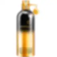MONTALE LEATHER PATCHOULI EDP 100ML