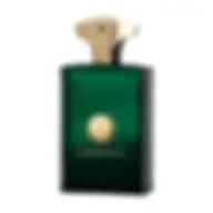 AMOUAGE EPIC FOR MAN (M) EDP 100 ml OM