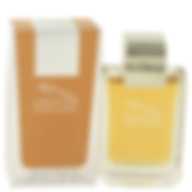 JAGUAR Excellence EDT M 100 ml