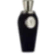 V Canto Alibi Extrait De Parfum For Unisex, 100 Ml