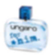 EMANUEL UNGARO FOR HIM EDT 100ML