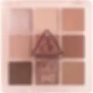 3CE Multi Eye Color Palette Some Def