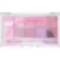 CLIO Professional Pro Eye Shadow Palette 014 Atelier In Hannam