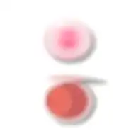 Sheglam Cheek 2 Cheek Blush Duo-cherry Sorbet