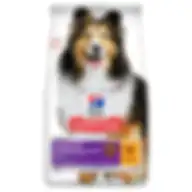 Hill's Science Plan Sensitive Stomach & Skin Medium Adult Dog Food With Chicken 2.5kg