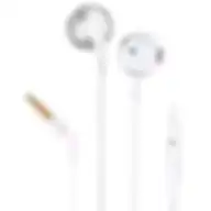 JBL Tune 205 3.5 Mm Jack In-ear Earphones With Mic
