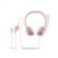 Logitech H390 Usb Computer Headset Rose