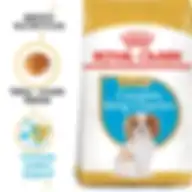 Royal Canin Breed Health Nutrition Cavalier King Charles Puppy 1.5 Kg