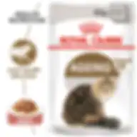 Royal Canin Feline Health Nutrition Ageing +12 Gravy Wet Food - 12's