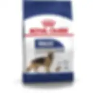 Royal Canin Shn Maxi Adult 10 Kg Size Health Nutrition Dog Food