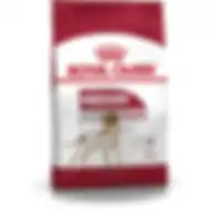 Royal Canin Shn Medium Adult Health Nutrition Dog Dry Food 4 Kg